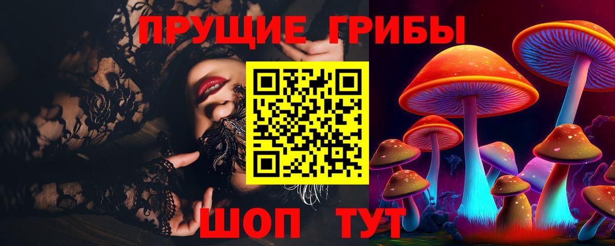 Галлюциногенные грибы Psilocybe Назрань